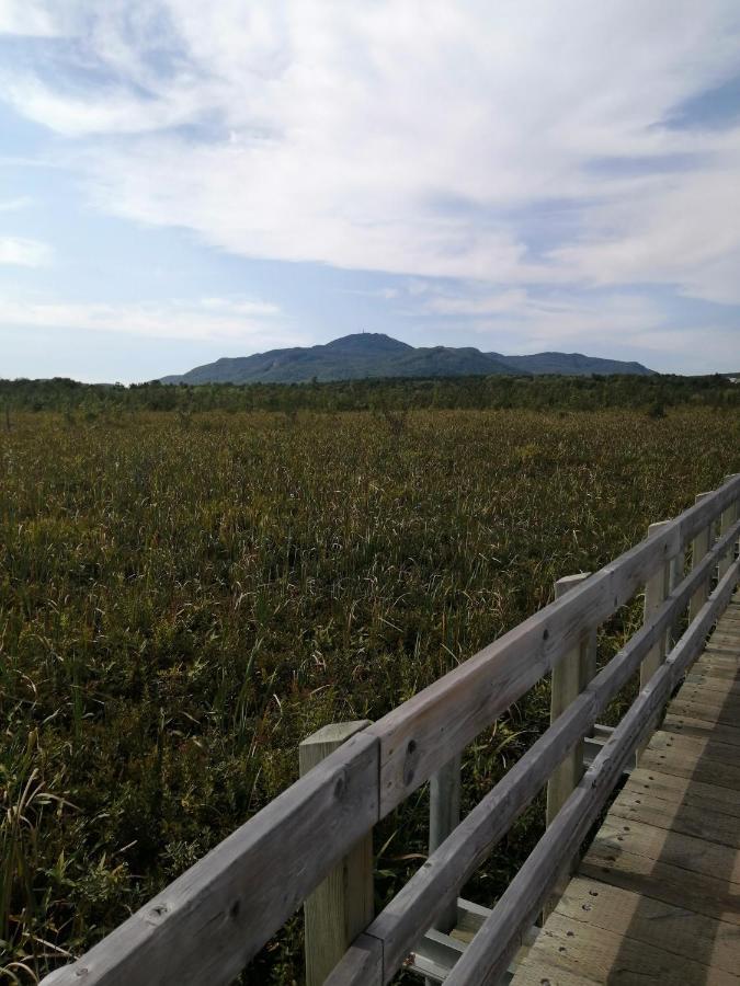 O'Berge Du Village A302 Magog ภายนอก รูปภาพ